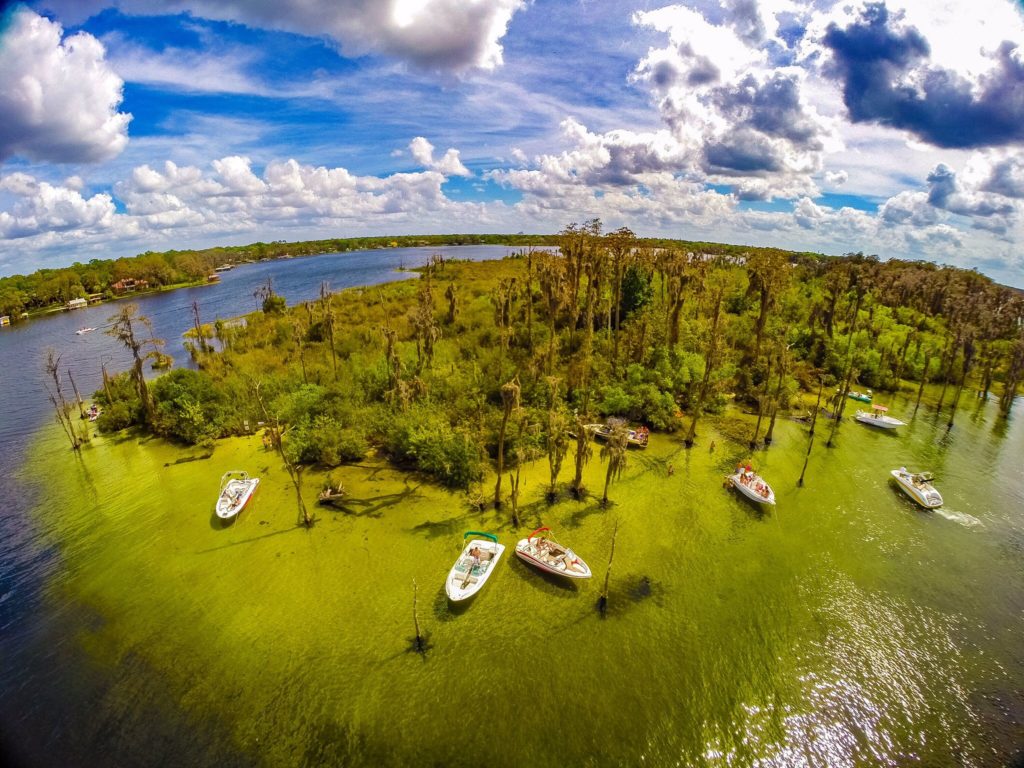 Butler Lake Tours - Bird Island